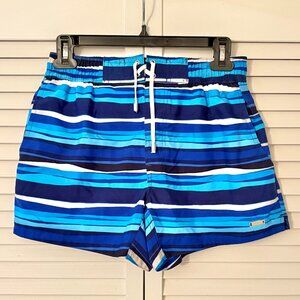 2xist Blue Striped Swim Shorts